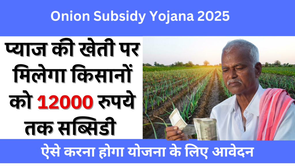 Onion Subsidy Yojana