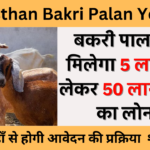 Rajasthan Bakri Palan Yojana