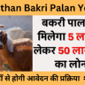 Rajasthan Bakri Palan Yojana